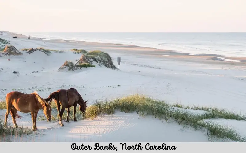 Outer Banks, North Carolina