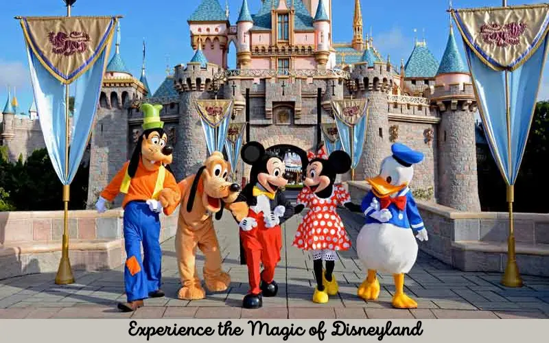 Experience the Magic of Disneyland