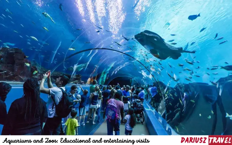 Aquariums and Zoos Educational and entertaining visits