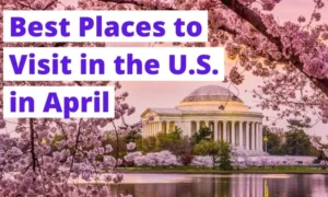 Best State To Visit In April USA [4 Attractive Destinations]