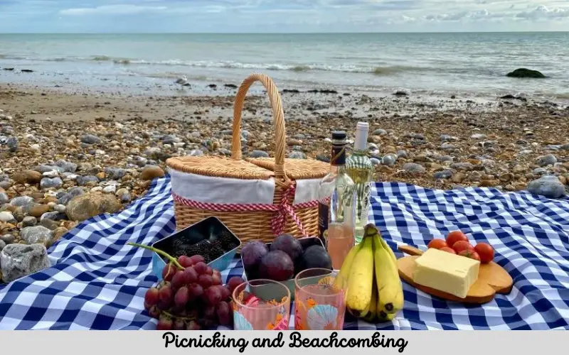 Picnicking and Beachcombing