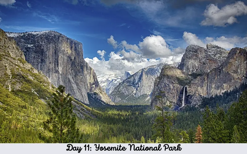 Day 11 Yosemite National Park