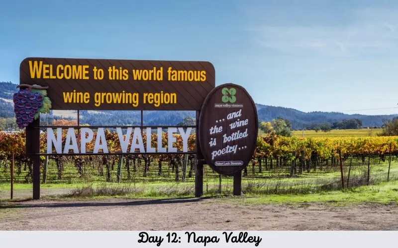 Day 12 Napa Valley